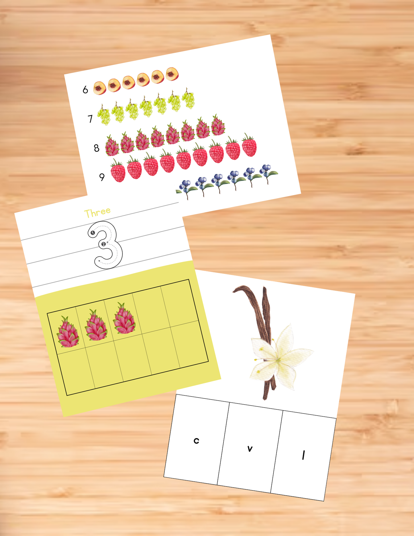Fruit Activity Book - Printable/Download