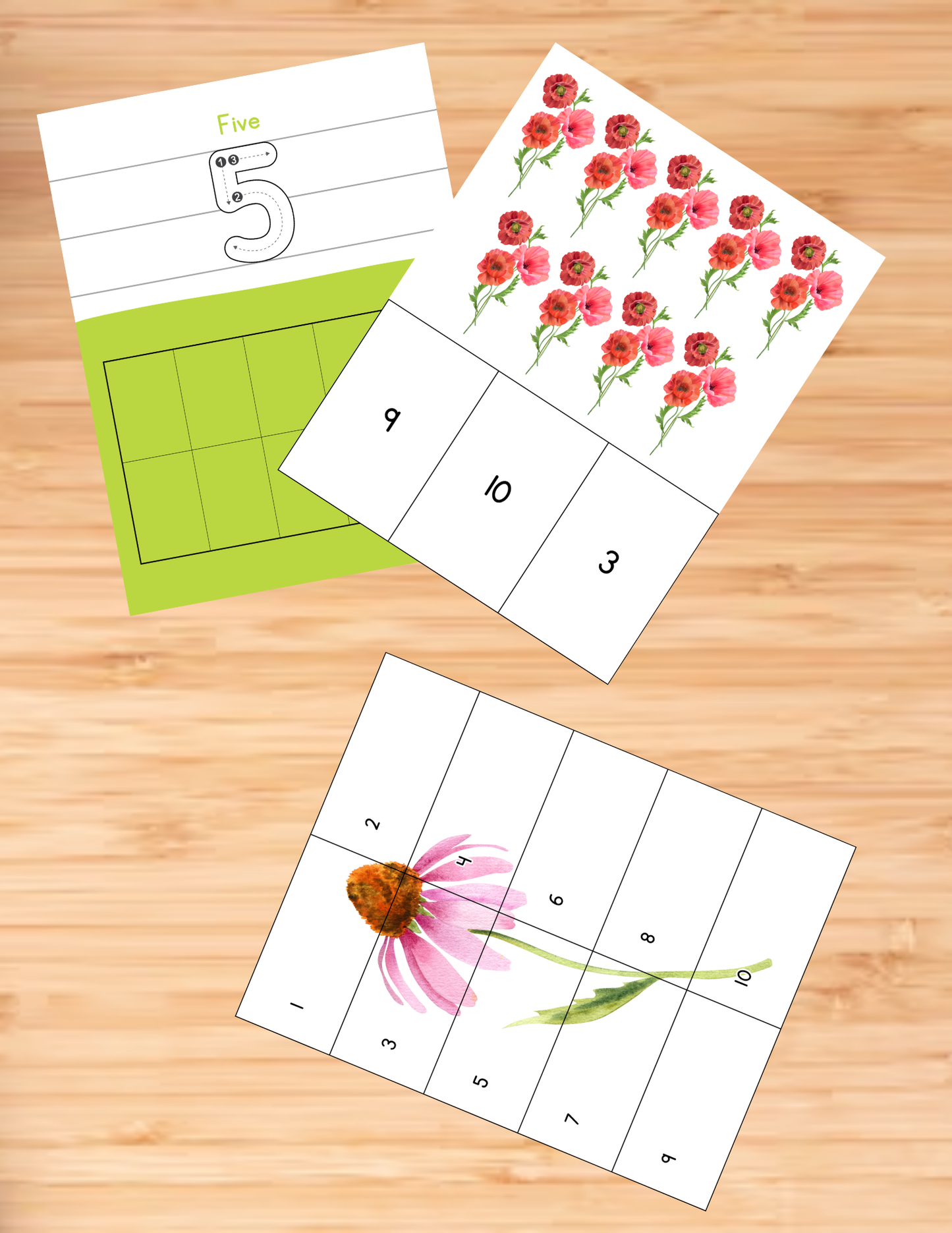 Botanical Activity Book - Printable/Download