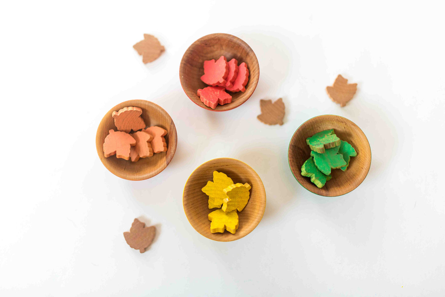 Counting and Sorting Leaves