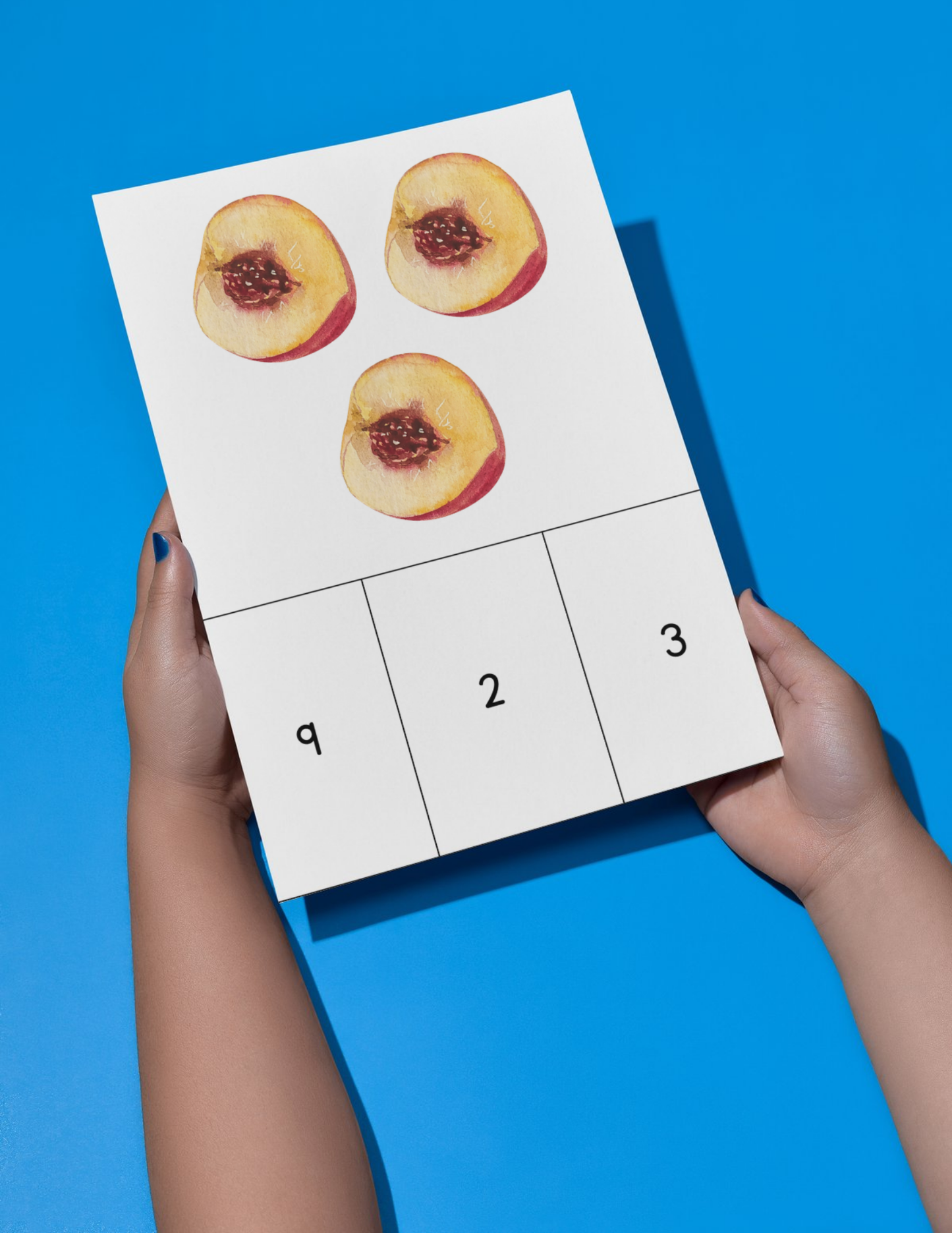 Fruit Activity Book - Printable/Download