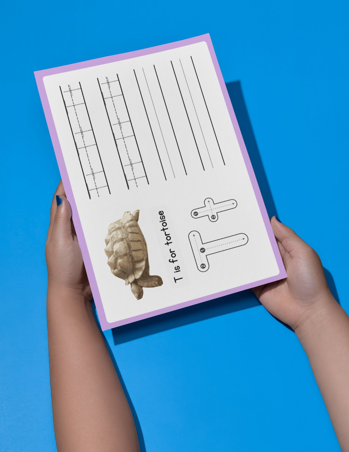 Animal Activity Book - Printable/Download