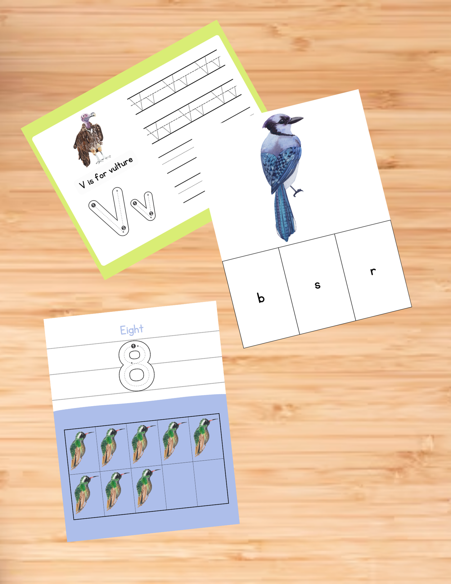 Bird Activity Book - Printable/Download