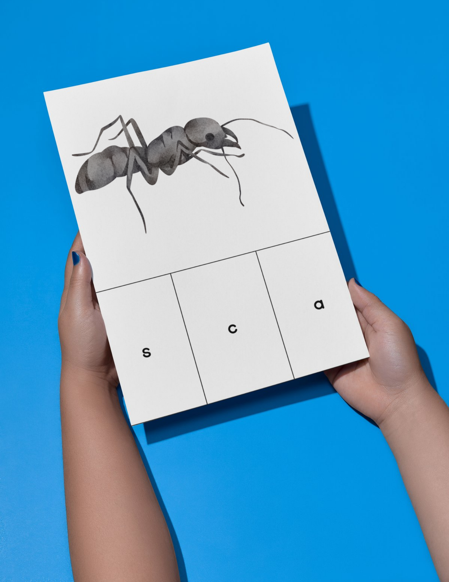 Bug Activity Book - Printable/Download