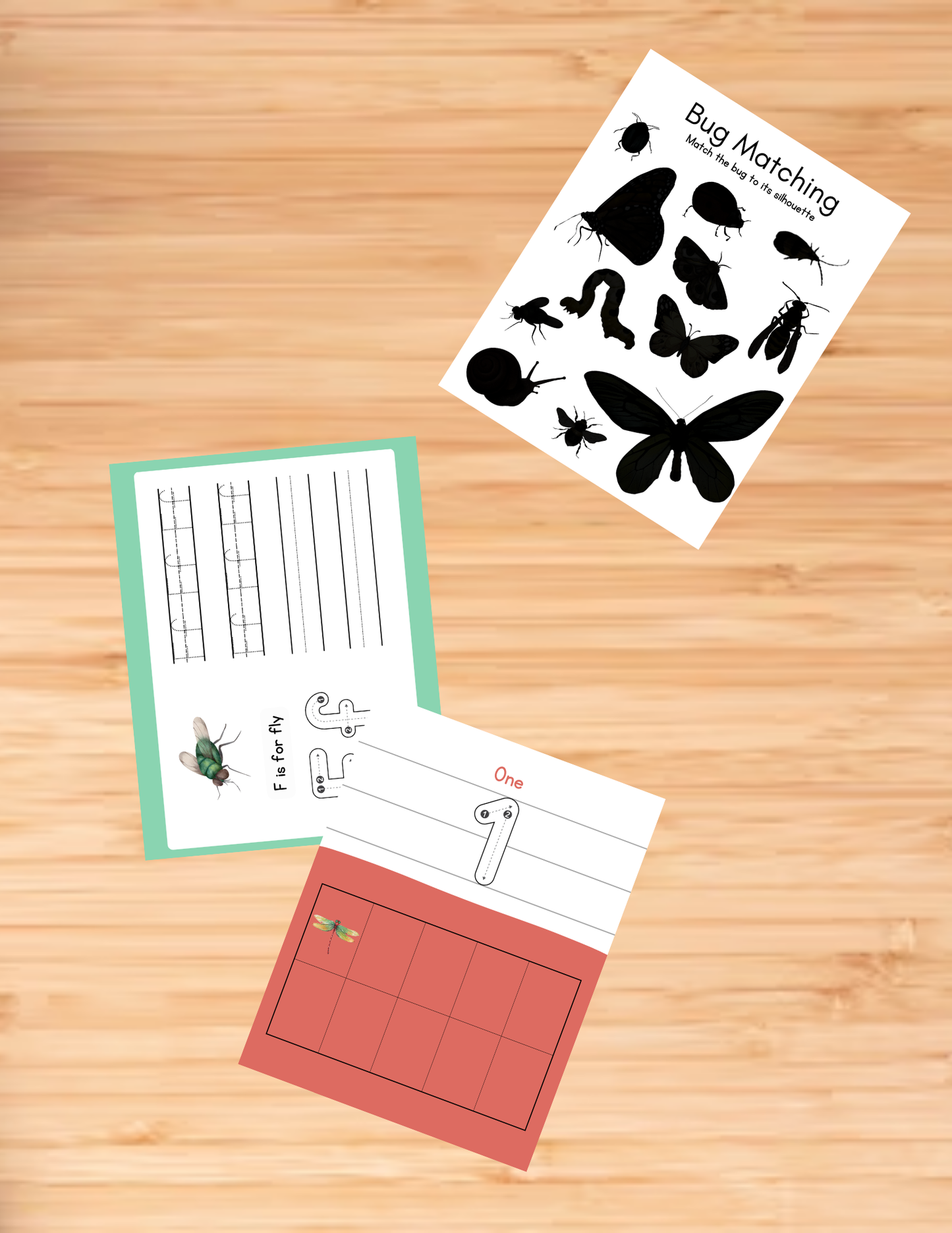 Bug Activity Book - Printable/Download