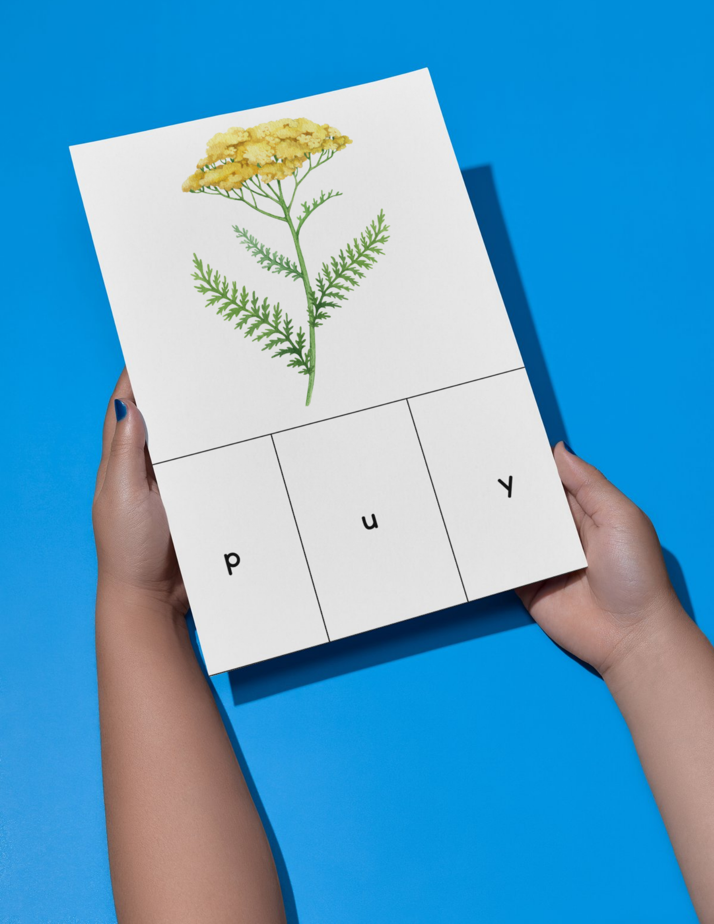 Botanical Activity Book - Printable/Download