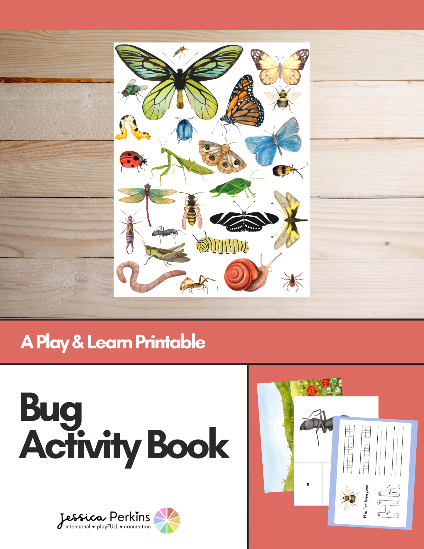 Bug Activity Book - Printable/Download
