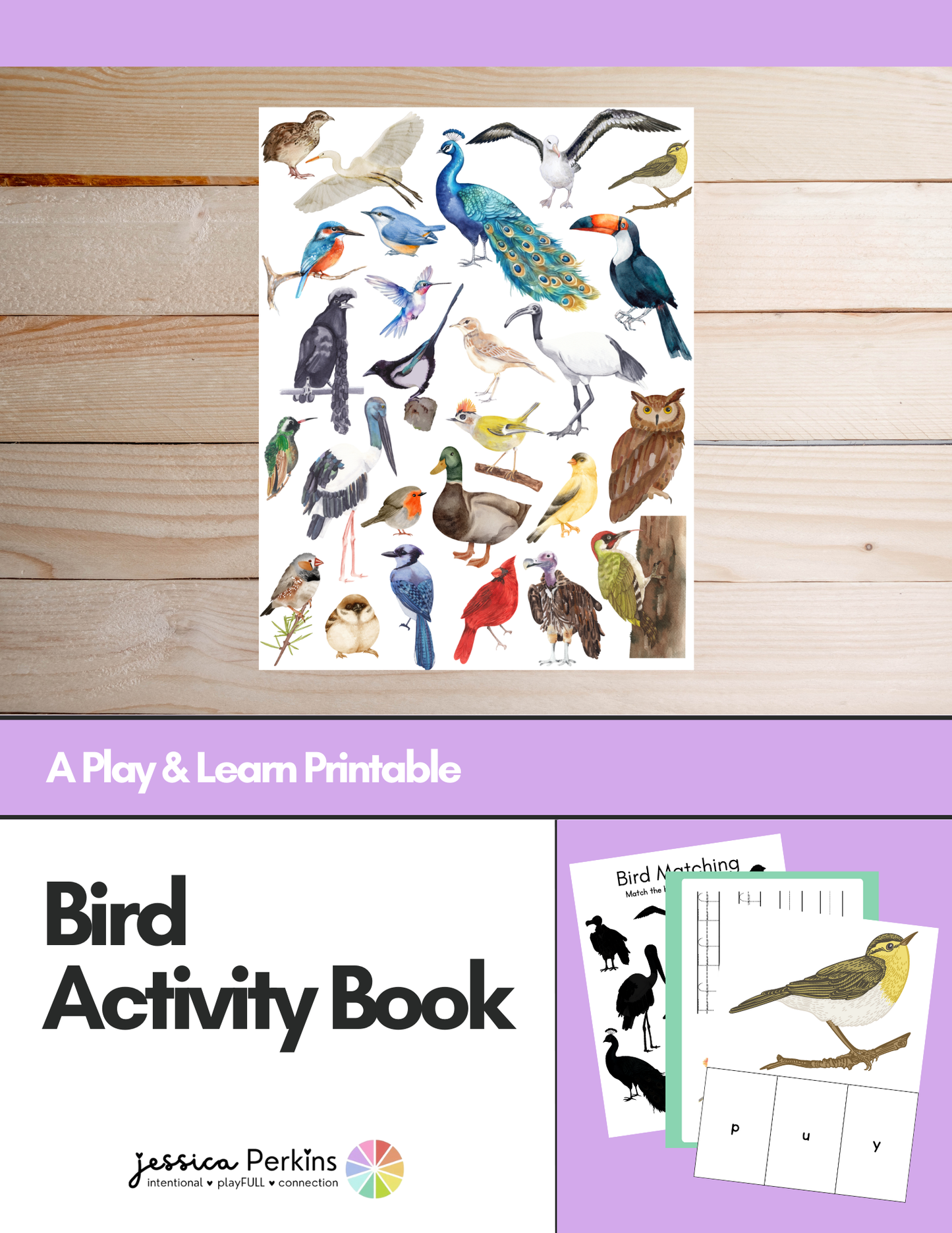 Bird Activity Book - Printable/Download