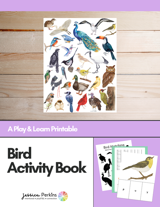Bird Activity Book - Printable/Download