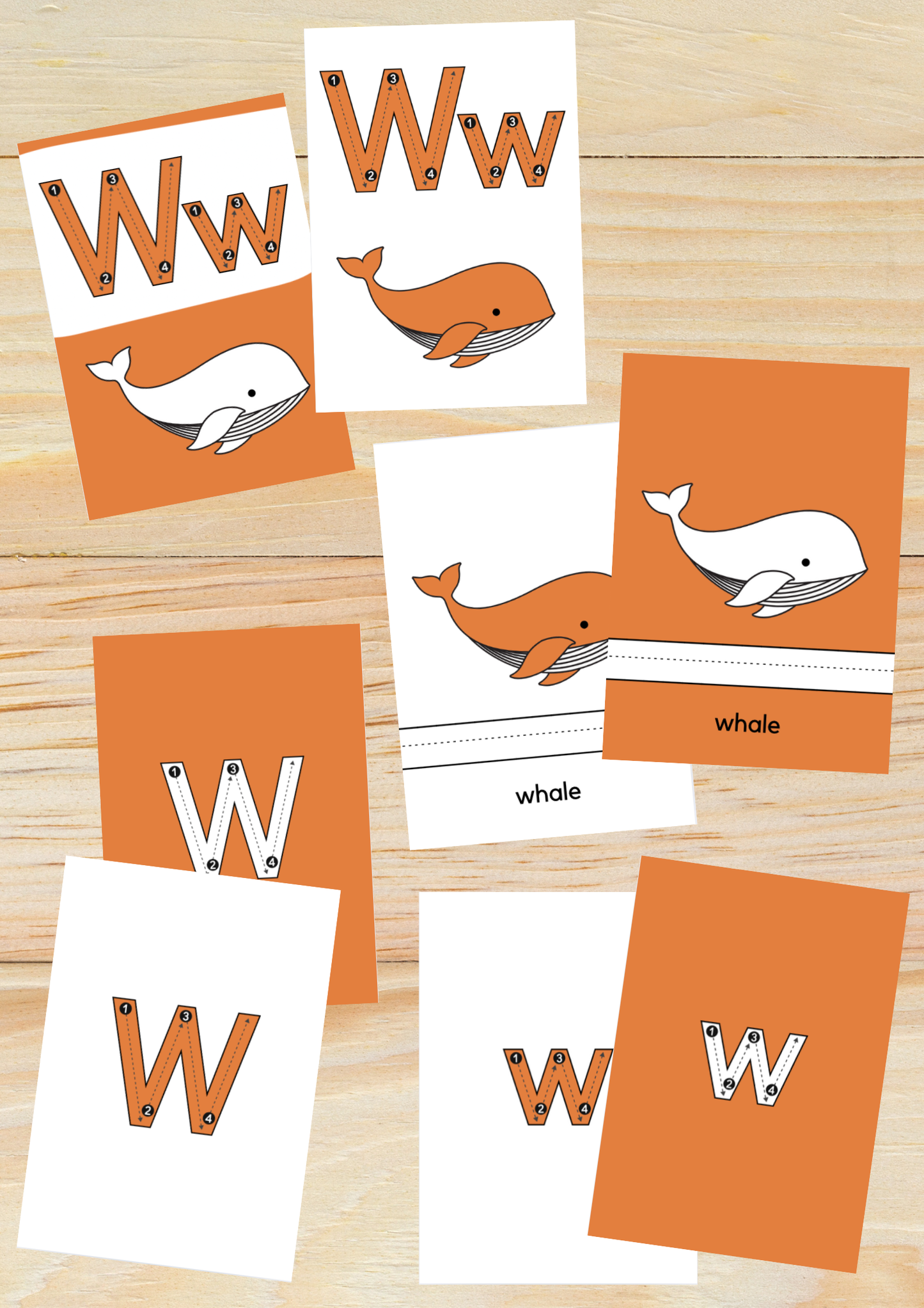 Animal Alphabet Cards - Printable Literacy