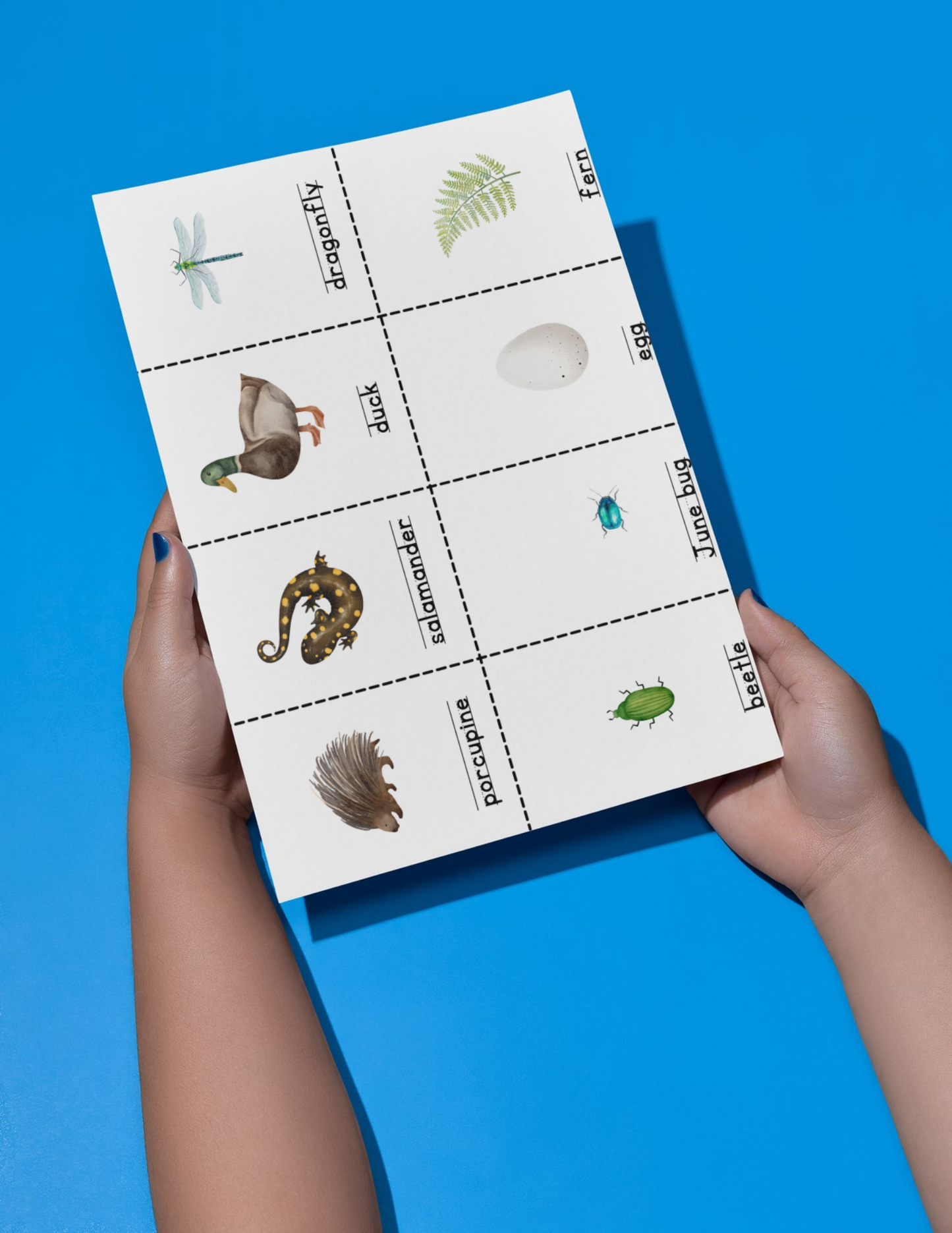 Woodland Find-It - Printable/Download