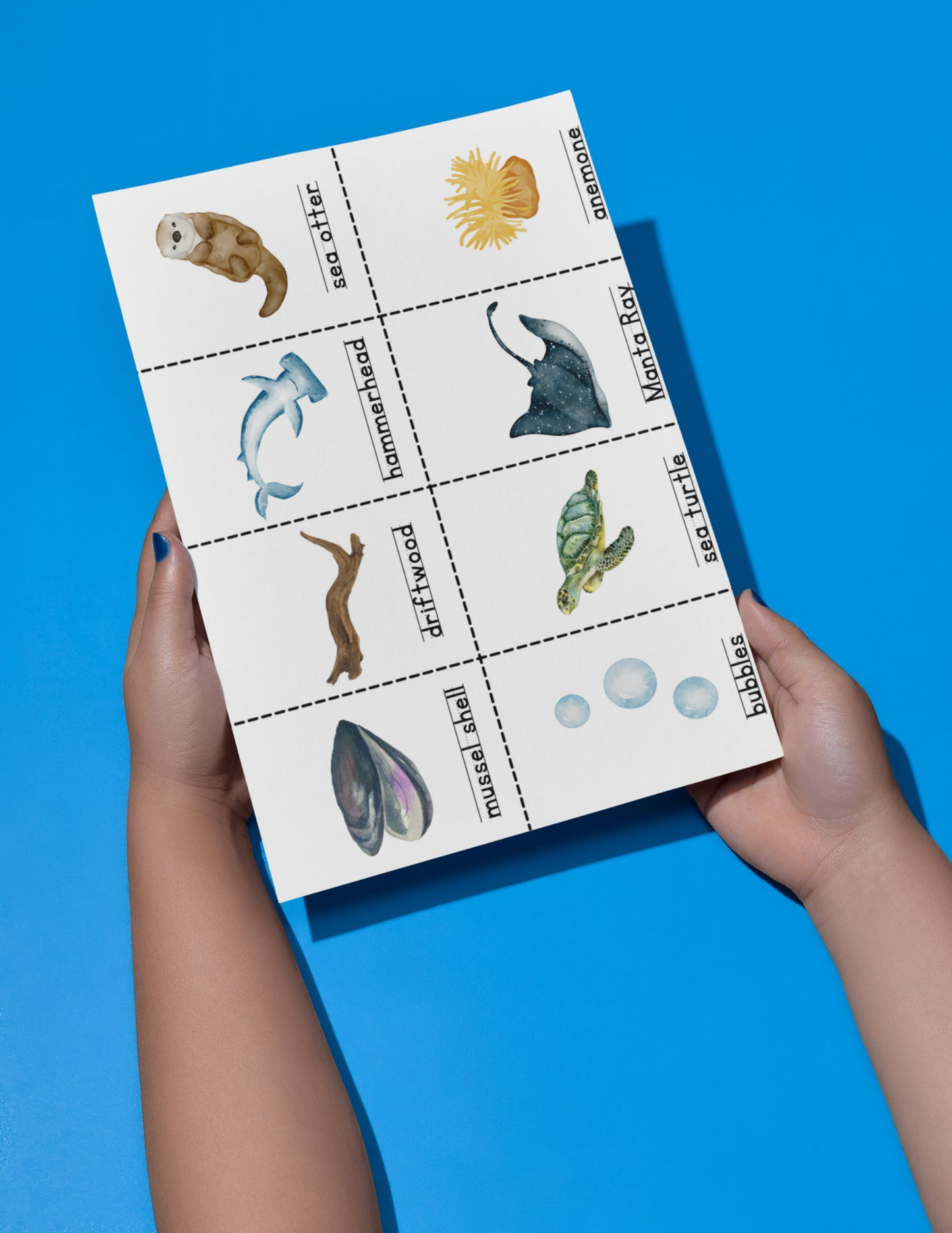 Beach Themed Find-It - Printable/Download