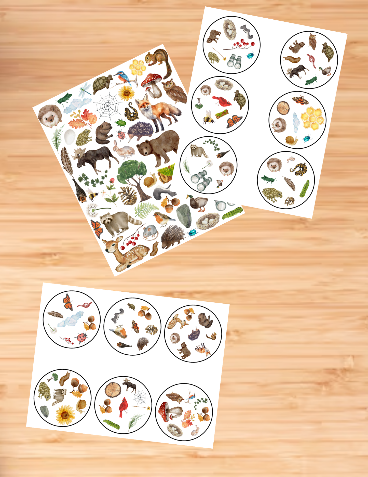 Woodland Find-It - Printable/Download