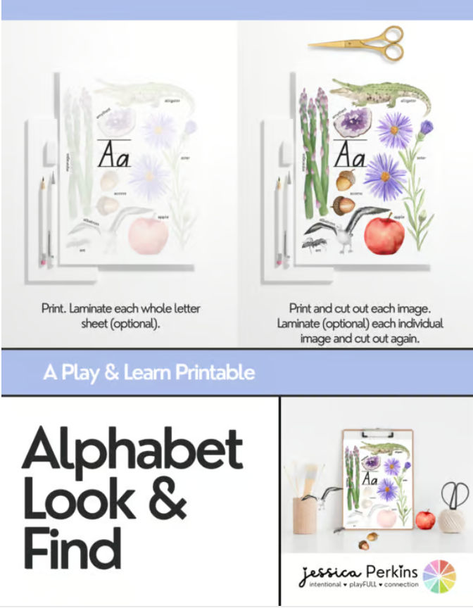 Alphabet Look & Find Mini Posters - Printable/Download