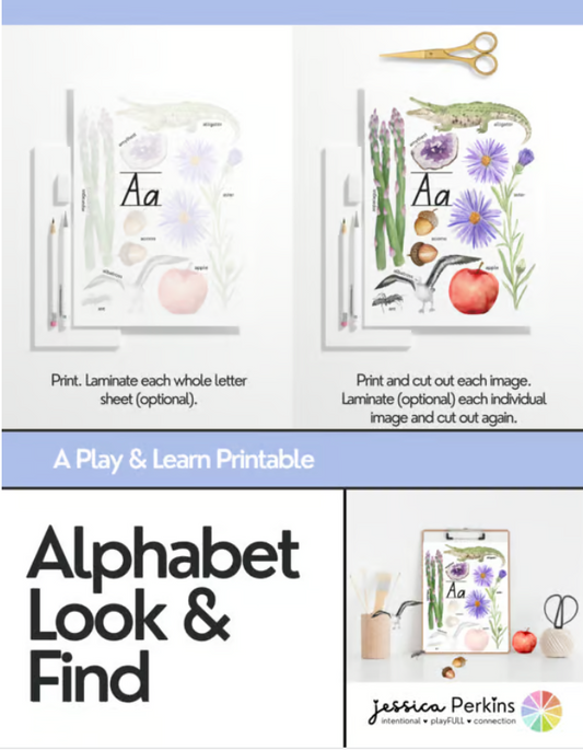 Alphabet Look & Find Mini Posters - Printable/Download