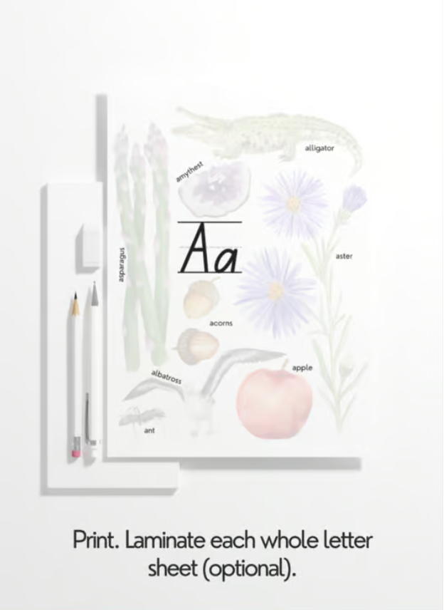 Alphabet Look & Find Mini Posters - Printable/Download