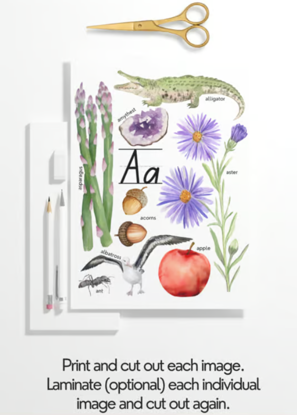 Alphabet Look & Find Mini Posters - Printable/Download