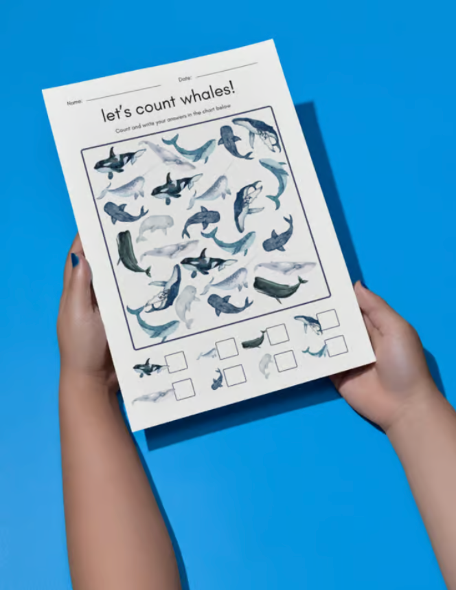 Ocean Number Pack - Printable/Download