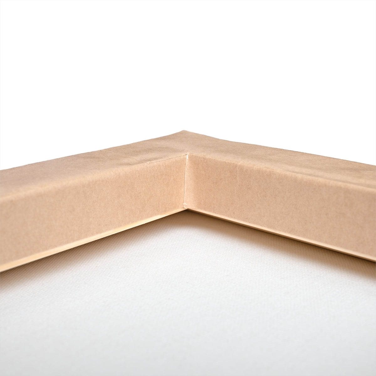 Cactus Stretched Canvas