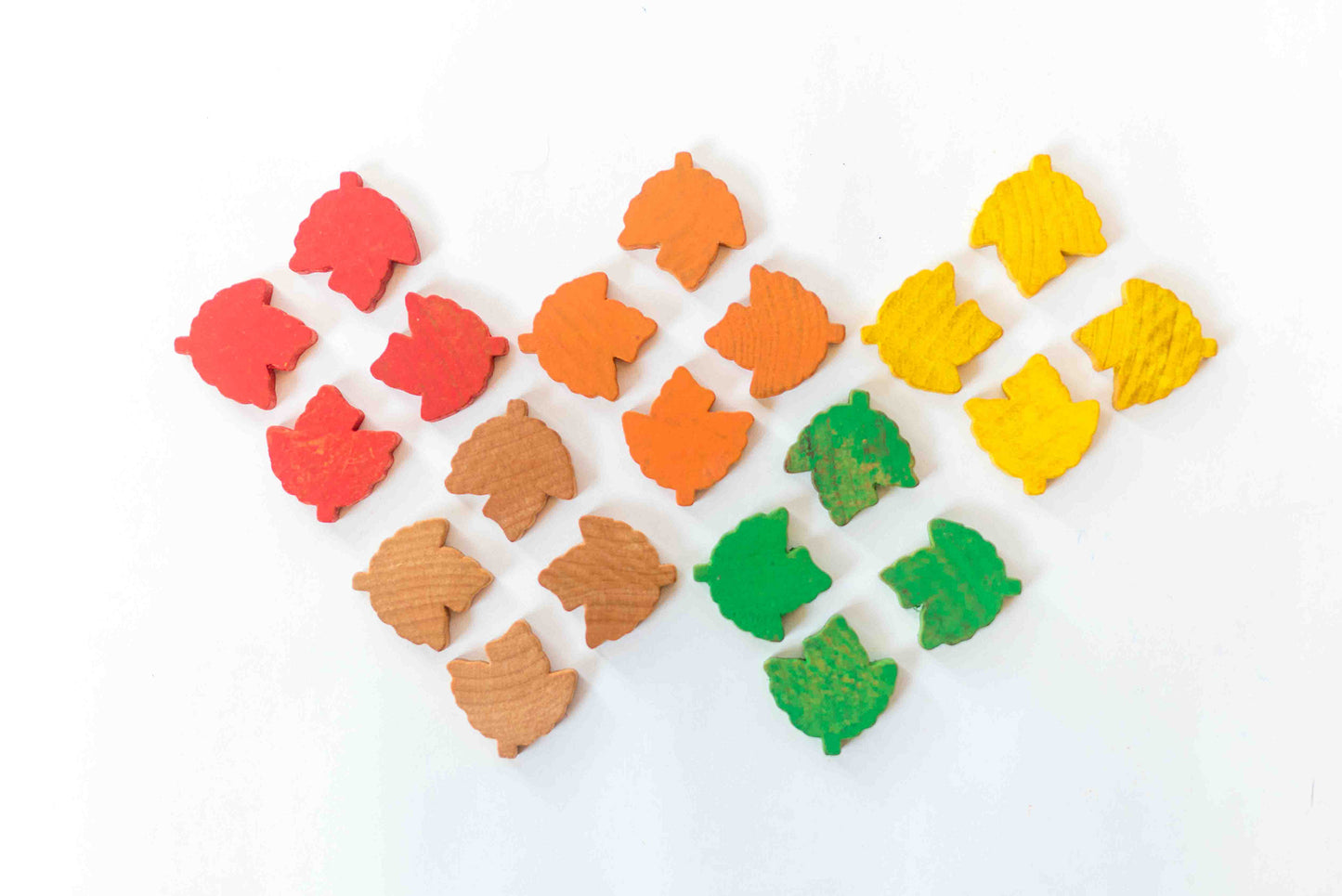 Counting and Sorting Leaves