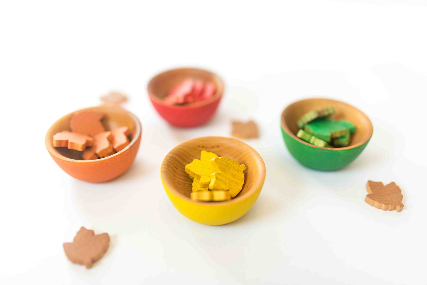 Counting and Sorting Leaves