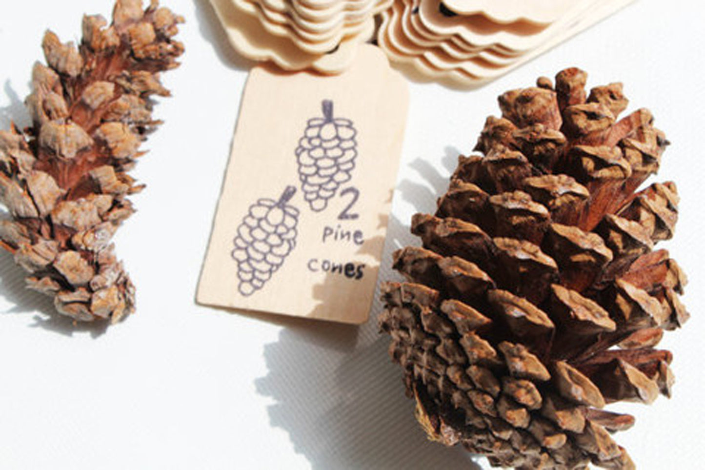 EXPLORE - Scavenger Hunt